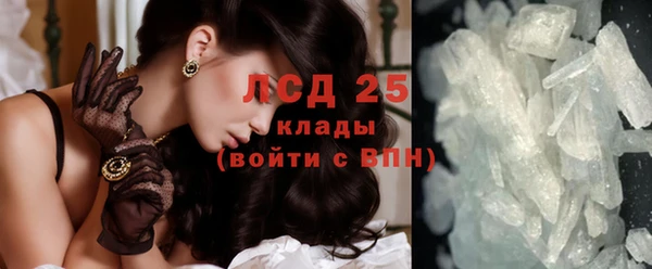 ПСИЛОЦИБИНОВЫЕ ГРИБЫ Горняк