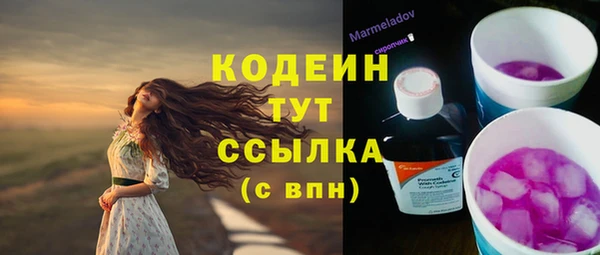 ПСИЛОЦИБИНОВЫЕ ГРИБЫ Горняк