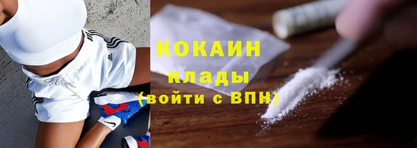ПСИЛОЦИБИНОВЫЕ ГРИБЫ Горняк