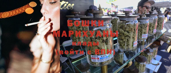 ПСИЛОЦИБИНОВЫЕ ГРИБЫ Горняк